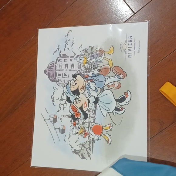 Disney Castaway Club Platinum Gift Set + DVC Items - Picture 4 of 8